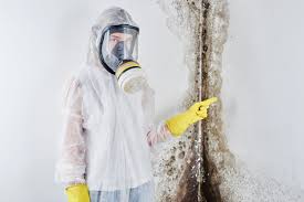 Best Comprehensive Air Testing for Mold Contaminants  in Westchase, FL